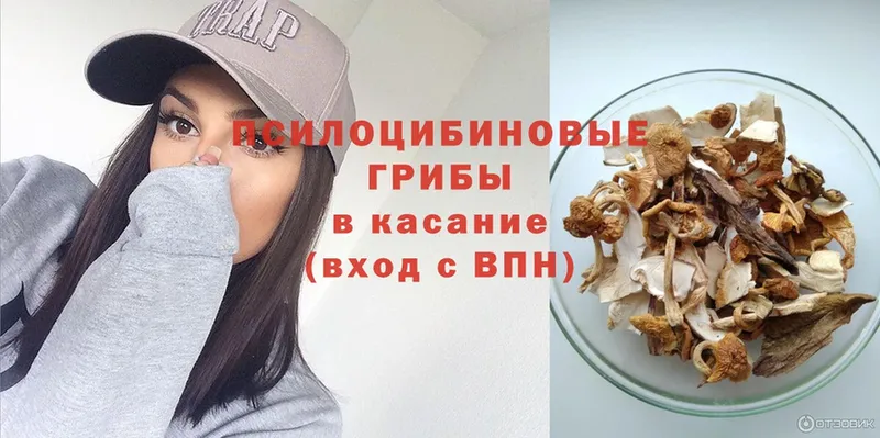 Псилоцибиновые грибы Psilocybine cubensis  цена наркотик  Гатчина 